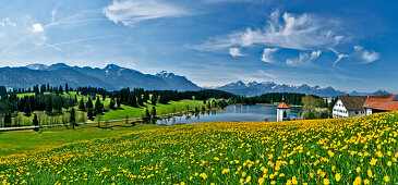 Blick von Hegratsried auf Tegelberg, Säuling und Tannheimer Berge, Ostallgäu, Deutschland, Europa