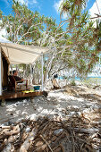Luxury tent on stilts right at the beach under Pandanus trees, Wilson Island Resort, Wilson Island, part of the Capricornia Cays National Park, Great Barrier Reef Marine Park, UNESCO World Heritage Site, Queensland, Australia