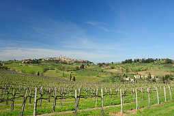 San Gimignano mit Weinbergen im Vordergrund, UNESCO Weltkulturerbe San Gimignano, San Gimignano, Toskana, Italien