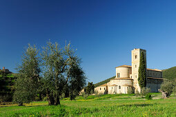 Romanisches Kloster San Antimo, mit Oliven und Zypressen, San Antimo, Toskana, Italien