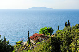 Manor with cypresses at Mediterranean coast with island of Corsica in background, near Pomonte, western coast of island of Elba, Mediterranean, Tuskany, Italy