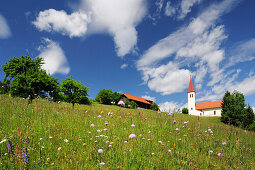 Church and farmhouse standing in a flower meadow, Carinthia, Austria, Europe