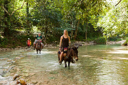 Horseback Tour to the Waterfall Cascada El Limon, Las Terrenas, Samana Peninsula, Dominican Republic