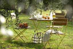 Olive trees, decorated table, Lake Garda, Italy