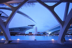 Palau de les Arts Reina Sofía, Architekt Santiago Calatrava, Av Autopista del Saler, Pont de Pont de Montolivet, Valencia, Spanien