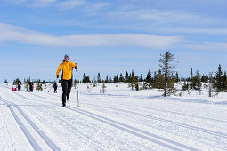 Woman cross country skiing in trail, Lillehammer, Oppland, Norway