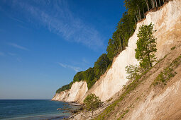 Chalk cliffs, Ruegen island, Jasmund National Park, Baltic Sea, Mecklenburg-West Pomerania, Germany