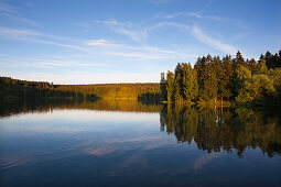 Rappbode-Stausee bei Hasselfelde, Harz, Sachsen-Anhalt, Deutschland