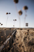 Blurred Dry Shrubs Along Open Road, Route 66, Arizona, USA