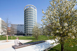 Cherry tree in blossom, office building in background, HafenCity, Hamburg, Germany