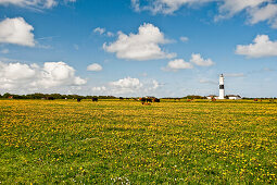 Leuchtturm unter Wolkenhimmel, Insel Sylt, Schleswig Holstein, Deutschland, Europa