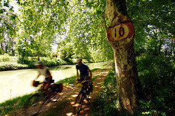 Two cyclings cycling along the canal du Midi, Road sign swallowwed by a tree, Canal du Midi, Midi, France