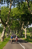 Two cyclists cycling along a road near the Canal du Midi, Midi, France