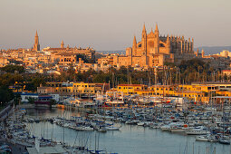 Blick auf Hafen, die Kathedrale La Seu und den Palast Palau de l'Almudaina im Licht der Abendsonne, Palma de Mallorca, Mallorca, Balearen, Spanien, Europa