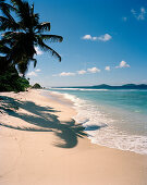 Schatten von Palmen am Strand Anse Fourmis, östliches La Digue, Republik Seychellen, Indischer Ozean