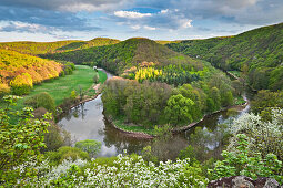 View of Thaya river at Thaya valley in spring, Lower Austria, Austria, Europe