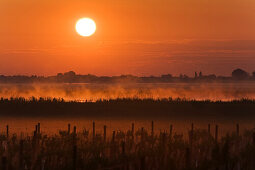 Lake Neusiedl at sunrise, Fertoe National Park, Burgenland, Austria, Europe