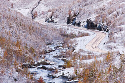 Stream flowing pasr birch trees, Valldalen, Norway