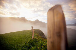 Zaunpfosten im Abendnebel, Kleine Scheidegg oberhalb Grindelwald, Berner Oberland, Schweiz