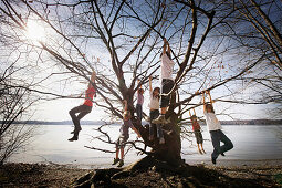 Children playing along the lakeshore, climbing a tree, Leoni castle grounds, Leoni, Berg, Lake Starnberg, Bavaria, Germany