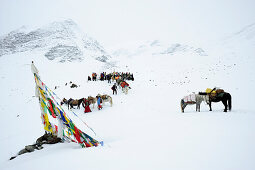 Tragtiere, Mönche und einheimische Bauern mit Touristengruppen am tief verschneiten Pass mit Gebetsfahnen, Shingo La, Großer Zanskar Trek, Zanskargebirge, Zanskar, Ladakh, Indien