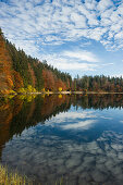 Spiegelung der Bäume im See, Feldsee, Feldberg, Schwarzwald, Baden-Württemberg, Deutschland