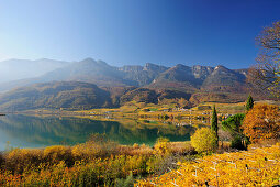 Lake Kalterer See with vineyards in autumn colours and Penegal range, lake Kalterer See, South Tyrol, Italy, Europe