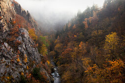 Nebel im Bodetal, bei Thale, Harz, Sachsen-Anhalt, Deutschland, Europa