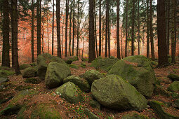 Steinerne Renne, boulders at Holtemme valley, Harz mountains, Saxony-Anhalt, Germany, Europe