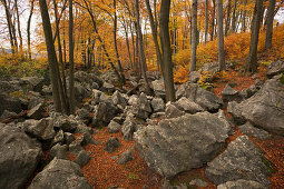 Herbstlicher Laubwald im Naturschutzgebiet Felsenmeer, Sauerland, Nordrhein-Westfalen, Deutschland, Europa