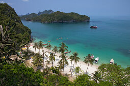 Sandy beach with palm trees at Angthong National Marine Park nea, Surat Thani Province, Thailand, Asia