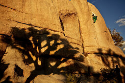 Young man climbing on up a rock in the Joshua Tree National Park, Joshua Tree National Park, California, USA