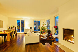 Modern flat with christmas tree, Hamburg, Germany