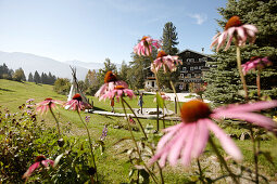Vew of the hotel through flowers, Ecohotel Grafenast, Am Hochpillberg, Schwaz, Tyrol, Austria
