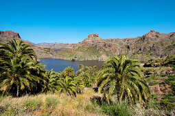 Reservoir, Presa de Soria, Gran Canaria, Canary Islands, Spain