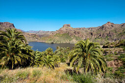 Stausee, Presa de Soria, Gran Canaria, Kanarische Inseln, Spanien