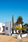 Houses at new harbour, Marina Rubicon, Playa Blanca, Lanzarote, Canary Islands, Spain, Europe