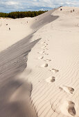 Tourists walking in the dunes, UNESCO World Biosphere Reserve, Slowinski National Park, Polish Baltic Sea coast, Leba, Pomeranian, Poland