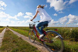 Junge Frau auf Fahrrad in Salzwiesen, Wattenmeer, Nordseeküste, Niedersachsen, Deutschland, Europa