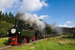 Jubiläumsfahrt 20 Jahre Wiederaufnahme Brockenbahn, Brockenbahn, Dampfeisenbahn, HSB Harzer Schmalspurbahnen, Harz, Sachsen-Anhalt, Deutschland