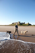 Francis Watson-Armstrong mit zwei Hunden am Strand vor Bamburgh Castle, Bamburgh, Northumberland, England, Grossbritannien, Europa