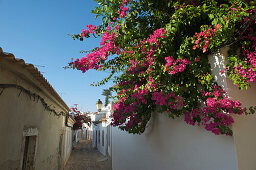Algarve, Portugal, Schmale Gasse in Loule mit roten Bougainvillea Blüten, Loule, Algarve, Portugal, Europa