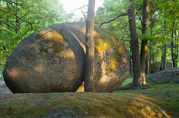 Koboldsteine, goblins' stones at Natural Park Blockheide Eibenstein, Gmuend, Lower Austria, Austria, Europe