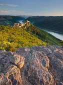 Aggstein castle ruin at Danube river in the evening light, Wachau, Lower Austria, Austria, Europe