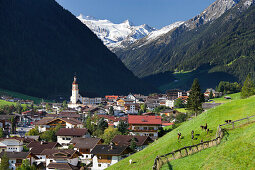 Neustift im Stubaital, Zuckerhütl, Stubai Gletscher, Stubaier Alpen, Tirol, Österreich