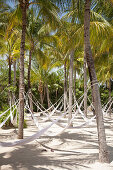 Hängematten unter Palmen im Xel-Ha Park, Tulum, Riviera Maya, Quintana Roo, Mexiko, Mittelamerika