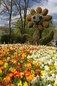 Blumenskulptur, Insel Mainau, Bodensee, Baden-Württemberg, Deutschland, Europa