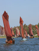 Sailing regatta in Althagen, Saaler Bodden, Fischland-Darss-Zingst Peninsula, Baltic Sea Coast, Mecklenburg Vorpommern, Germany
