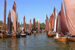 Sailing regatta in Althagen, Saaler Bodden, Fischland-Darss-Zingst Peninsula, Baltic Sea Coast, Mecklenburg Vorpommern, Germany