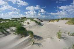 Dünen und Nordsee, Insel Spiekeroog, Nationalpark Niedersächsisches Wattenmeer, Ostfriesische Inseln, Niedersachsen, Germany